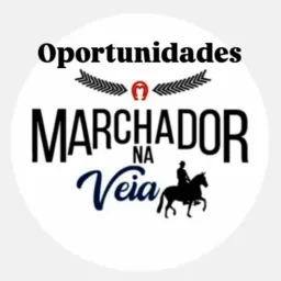 Oportunidades Marchador na veia 📲💸