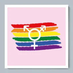 Amizades LGBT 🏳️‍🌈