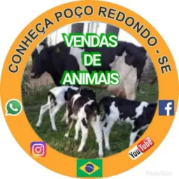 Vendas Animais P. Redondo