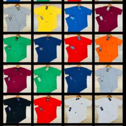 Camisetas básicas