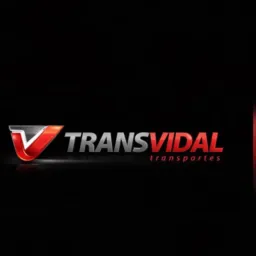 TRANSVIDAL DOURADOS-MS🚛💨🌾