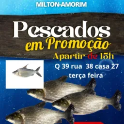 PEIXARIA DO MILTON AMORIM