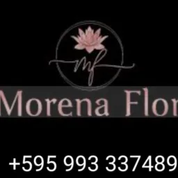 Morena flor 🌷 novos e semi novos