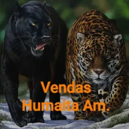 Vendas Humaitá💵
