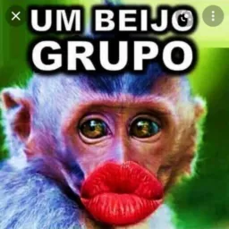 Somente vídeos engraçados