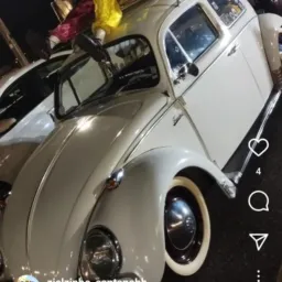 tumulto bh carro e motos