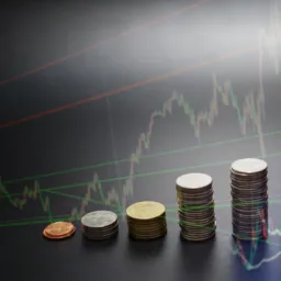 Mentoria  para Investidores iniciantes