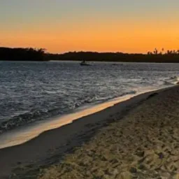 Barra nova (oportunidades)