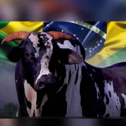 Galera da Catira tiros e região