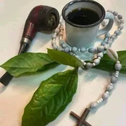 Benzimento/Simpatias/Banhos/Chás 🌿🌱🍀🍃