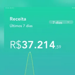 ENSINANDO A FAZER DINHEIRO