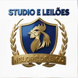 STUDIO E LEILÕES NELORE DE BICO