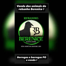 Grupo de divulgação e vendas do REB. BERENICE