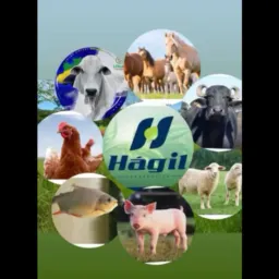 Agro Compra e venda trasacreana 🐂🐴🐎🐑🐏🐃🫏🚗🚚🚜🏍️