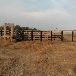Comprar e vender terras, gado, carros, bicicleta, pode vender tudo que seja legal.🌍