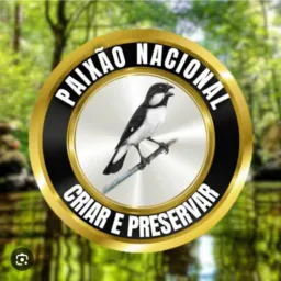 AMIGOS BIGODEIROS