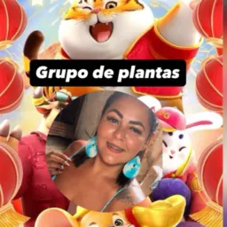 Plataforma