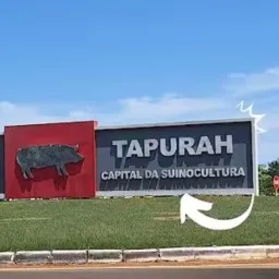 TAPURAH COMPRAR E VENDAS
