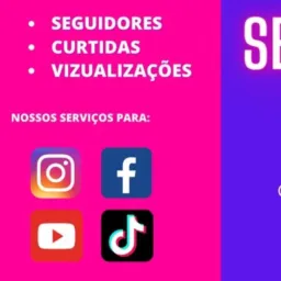 SEGUIDORES PARA SUAS REDES SOCIAIS FALAR COM UM ADM NO PV .