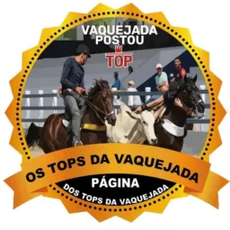 PÁGINA DOS TOPS DA VAQUEJADA