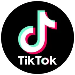 ⬛TIKTOK/VÍDEOS/MÚSICAS/FIGURINHAS