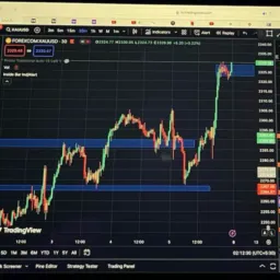 DINHEIRO FACIL FOREX