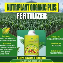 FERTILIZER WOTSIKA MTENGO MONU 👑👑