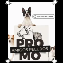 🐕🐈🐾Amigos Peludos🐾🐩🐈‍⬛