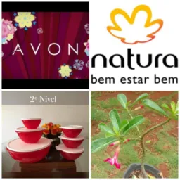 Compra e venda