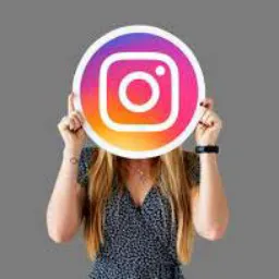 Seguidores Instagram