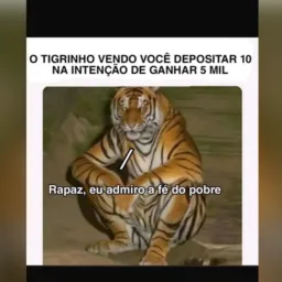 SLOTS FRANCO HORÁRIOS AKI