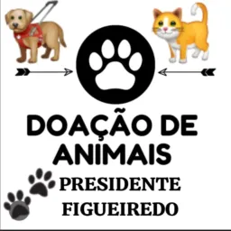 🐾🐱 DOAÇÃO DE ANIMAIS PF🐶🐾