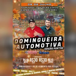 Domingueira automotiva