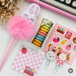 RETIRADAS Papelaria Fofa ✏️🐰🩷 - Santa Pechincha