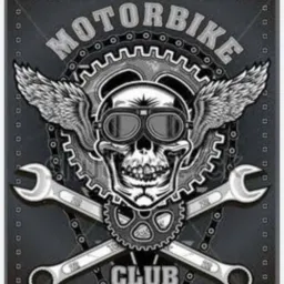 free lance moto clube 9