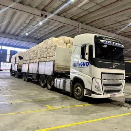 ALGODÃO BORGNO TRANSPORTES 🇧🇷
