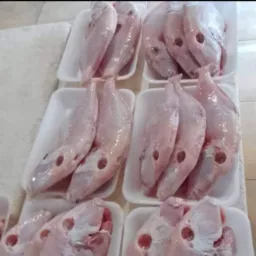 PEIXE E CAMARÃO 2
