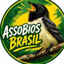 ASSOBIADORES SÃO PAULO 🐦⬛