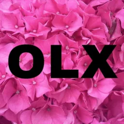 Olx posta tudo 👍🏻