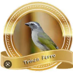PASSARINHEIROS D FRIBURGO