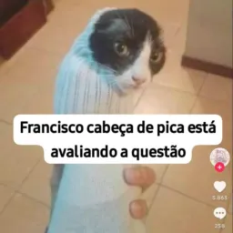 Grupo do PK o rei🍷