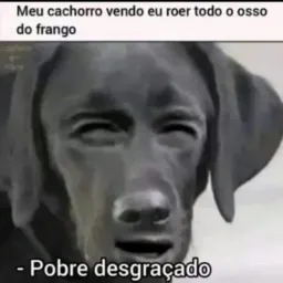 🤪😜Assuntos Viralizados🧘🏾‍♂️🫣🙈