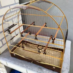 RIFA DE UMA GAIOLA NUMERO 5 PADRÃO TONEIO