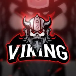 INFORMATIVO VIKING 1° ED