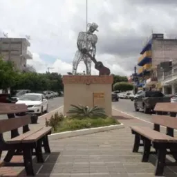 Bazar de São José 🌵