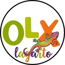 Desapega OLX LAGARTO⌚