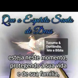 compra vendas Ourilândia / Tucumã