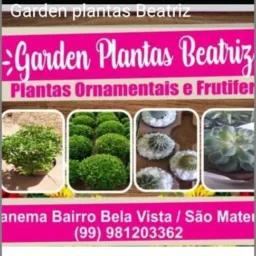 Garden plantas Beatriz