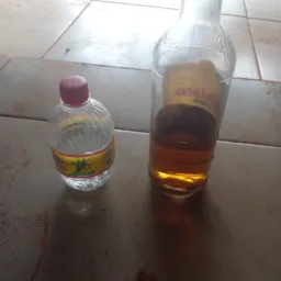 Grupo dos cachaceiros 🥴🍻
