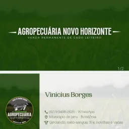 AGROPECUARIA NOVO HORIZONTE - VACAS DE LEITE - JARU